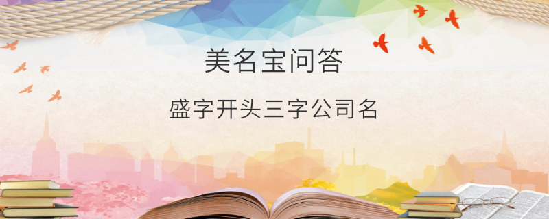 盛字開頭三字公司名