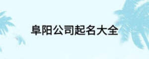 阜陽(yáng)公司起名大全