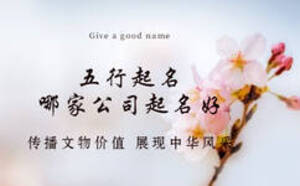 五行起名怎么看缺什么，哪家公司起名好