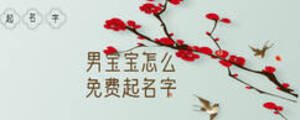 男寶寶怎么免費(fèi)起名字