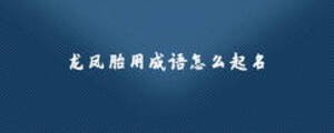龍鳳胎用成語(yǔ)怎么起名