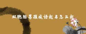 雙胞胎男孩成語(yǔ)起名怎么起