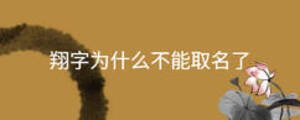 翔字為什么不能取名了