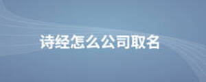  詩經怎么公司取名