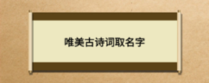 唯美古詩(shī)詞取名字