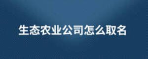 生態(tài)農(nóng)業(yè)公司怎么取名