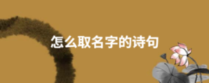 怎么取名字的詩(shī)句