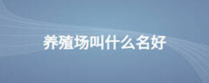 養(yǎng)殖場(chǎng)叫什么名好