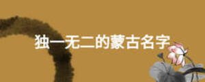 獨一無二的蒙古名字