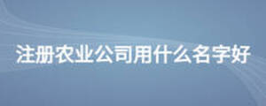 注冊(cè)農(nóng)業(yè)公司用什么名字好