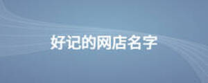 好記的網(wǎng)店名字