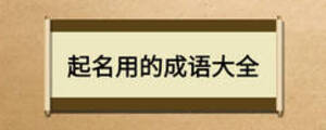 起名用的成語(yǔ)大全