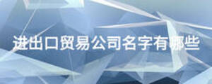 進(jìn)出口貿(mào)易公司名字有哪些