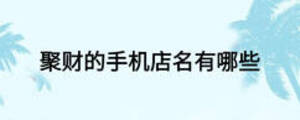 聚財(cái)?shù)氖謾C(jī)店名有哪些