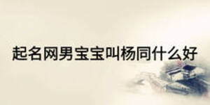 起名網(wǎng)男寶寶叫楊同什么好