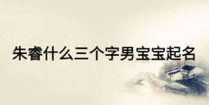 朱睿什么三個(gè)字男寶寶起名