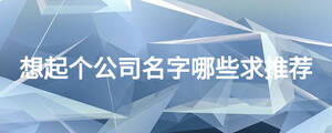 想起個(gè)公司名字哪些求推薦