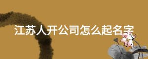 江蘇人開(kāi)公司怎么起名字