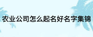 農(nóng)業(yè)公司怎么起名好名字集錦