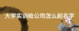 大學(xué)實訓(xùn)給公司怎么起名字