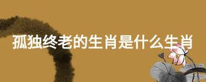 孤獨終老的生肖是什么生肖