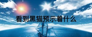 看到黑貓預示著什么