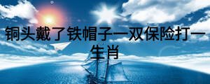銅頭戴了鐵帽子一雙保險(xiǎn)打一生肖