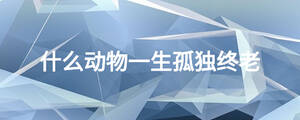 什么動(dòng)物一生孤獨(dú)終老