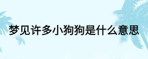 夢(mèng)見(jiàn)許多小狗狗是什么意思