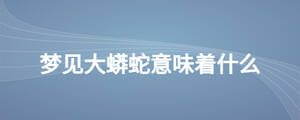 夢見大蟒蛇意味著什么