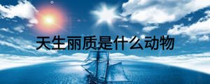 天生麗質(zhì)是什么動(dòng)物
