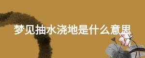夢(mèng)見抽水澆地是什么意思
