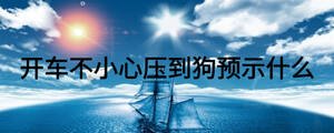 開車不小心壓到狗預(yù)示什么