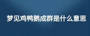 夢(mèng)見(jiàn)雞鴨鵝成群是什么意思