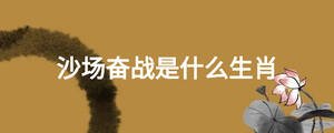 沙場奮戰(zhàn)是什么生肖