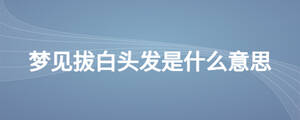夢見拔白頭發(fā)是什么意思