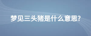 夢(mèng)見三頭豬是什么意思?