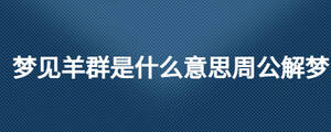 夢(mèng)見(jiàn)羊群是什么意思周公解夢(mèng)