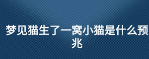 夢(mèng)見貓生了一窩小貓是什么預(yù)兆
