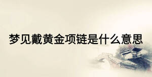 夢見戴黃金項(xiàng)鏈?zhǔn)鞘裁匆馑? width=