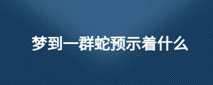 夢到一群蛇預示著什么