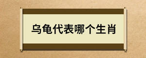 烏龜代表哪個(gè)生肖