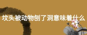 墳頭被動物刨了洞.jpg