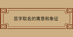 自創 - 2022-08-31T152123.031.jpg