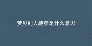 深色背景 - 2022-12-01T135402.757.jpg