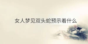 傳統(tǒng) - 2022-12-09T153117.409.jpg