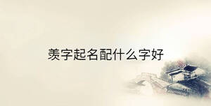 傳統(tǒng) - 2023-01-07T160557.231.jpg
