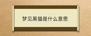 問(wèn)答 - 2023-02-09T132759.194.jpg