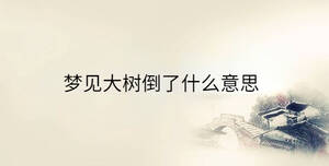 傳統(tǒng) - 2023-03-29T100614.666.jpg