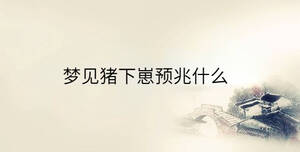傳統(tǒng) - 2023-04-12T152533.485.jpg